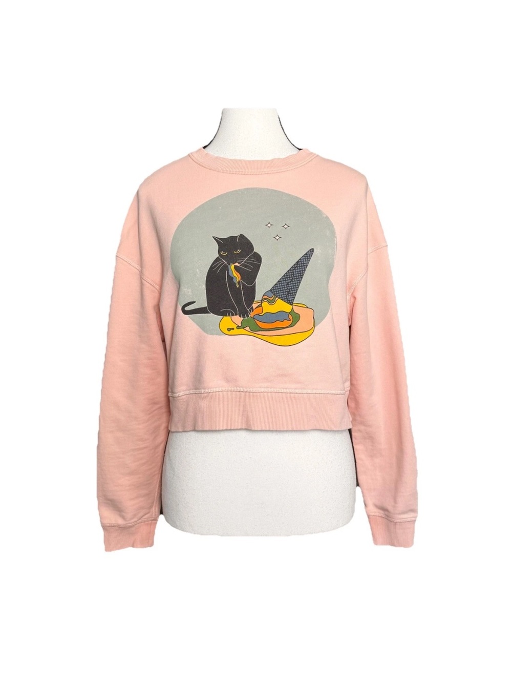 Obsidiopolis Meow Wolf Harriet the Cat Yum Cropped Sweatshirt XS Ice Cream Cone - Picture 2 of 6